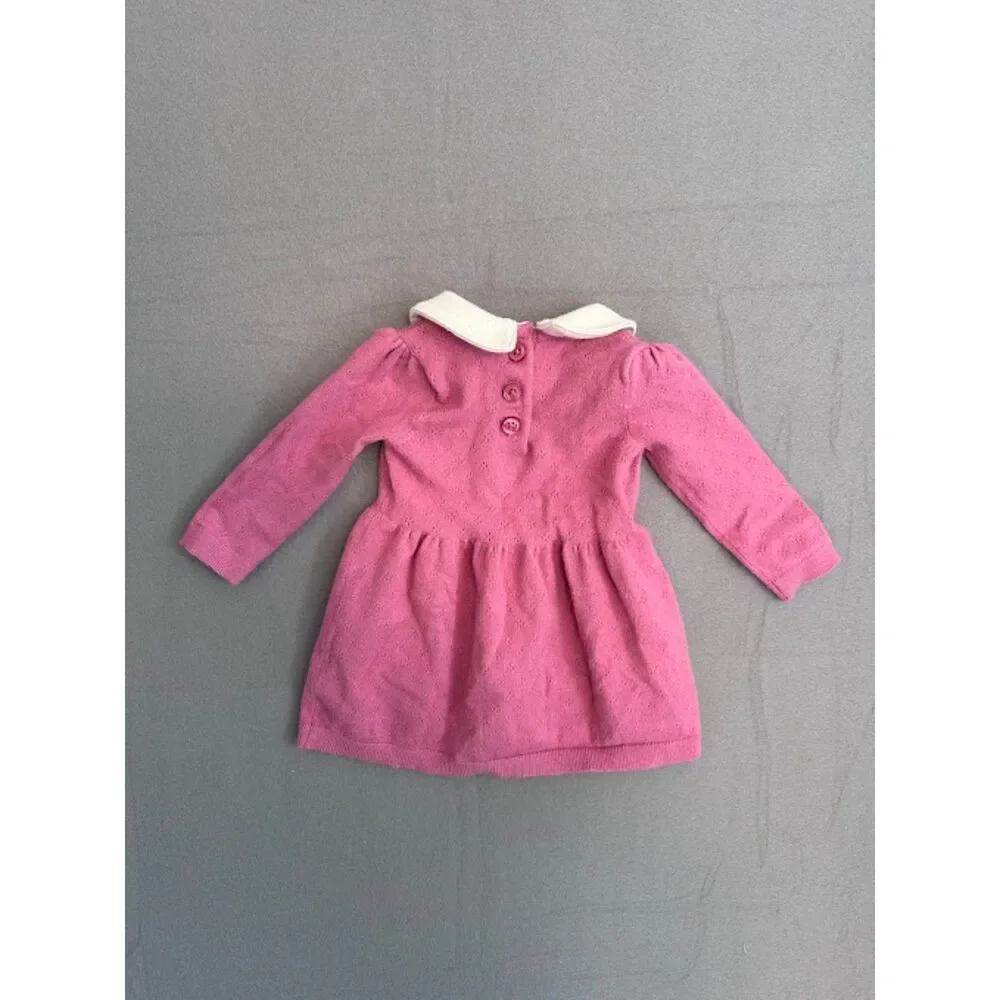 Homegrown by Gymboree Baby Girl 0-3M Knit Dress Embroidered Peter Pan Collar